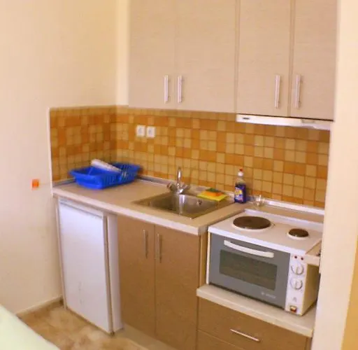 公寓 Zisios 沃尔沃罗